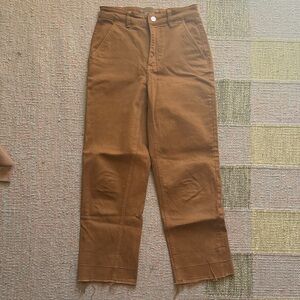 Everlane High-Waist Straight Leg Pants in Rust